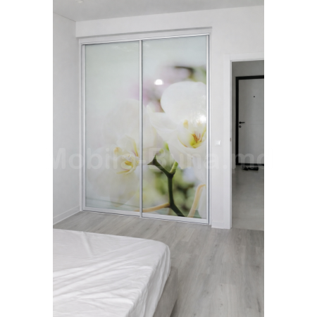 2 раздвижные двери с фотопечатью, Orhidee A-17